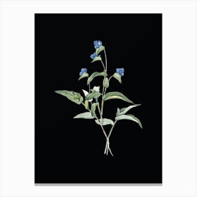 Vintage Blue Spiderwort Botanical Illustration on Solid Black n.0695 Canvas Print