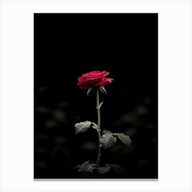 Single Red Rose On Black Background 2 Canvas Print