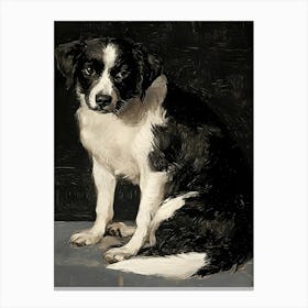 Dark Gothic Border Collie Canvas Print