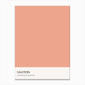 Salmon Colour Block Poster Canvas Print