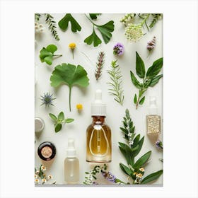 Botanicals Canvas Print