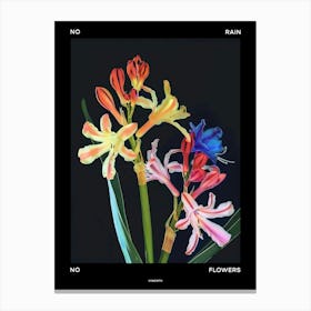 No Rain No Flowers Poster Hyacinth 2 Canvas Print