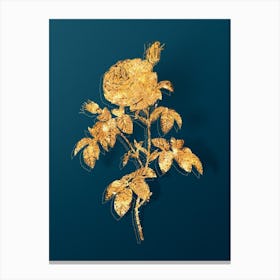 Vintage Provence Rose Bloom Botanical in Gold on Teal Blue n.0178 Canvas Print
