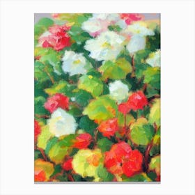 Begonia Impressionist Painting Plant Canvas Print