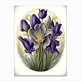 Crocus 3 Floral Botanical Vintage Poster Flower Canvas Print