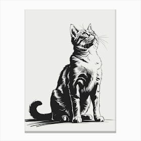 Cat Looking Up 3 Canvas Print