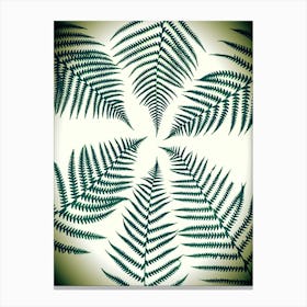 Green Fern Leaves Canvas Print