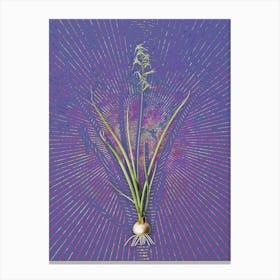 Vintage Hyacinthus Viridis Botanical Illustration on Veri Peri n.0022 Canvas Print