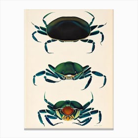 Blue Crab Vintage Poster Canvas Print