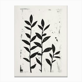 'Plants' 6 Canvas Print