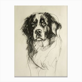 Bernese Mountain Dog Charcoal Line 1 Canvas Print