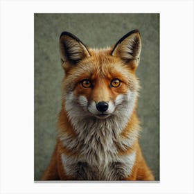 Red Fox 3 Canvas Print