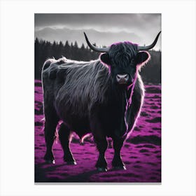 Highland Cow 17 Canvas Print