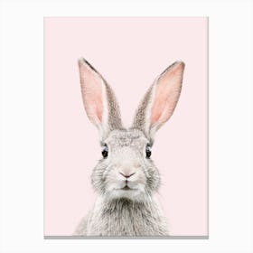 Bunny Face Blush Canvas Print