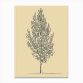 Poplar Tree Minimalistic Drawing 3 Canvas Print