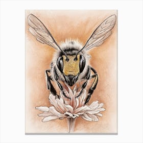 Bee On Flower 1 Canvas Print