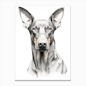 Doberman Pinscher Dog, Line Drawing 1 Canvas Print