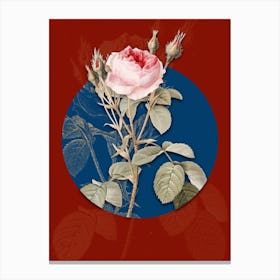 Vintage Botanical Double Moss Rose on Circle Blue on Red n.0280 Canvas Print