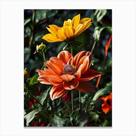 Dahlias 10 Canvas Print