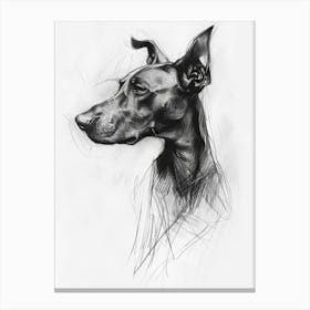 Pinscher Dog Charcoal Line Canvas Print