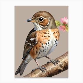 Robin 2 Canvas Print