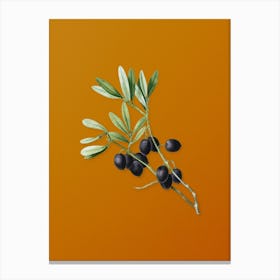 Vintage Olive Tree Branch Botanical on Sunset Orange n.0371 Canvas Print
