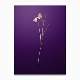 Gold Botanical Blue Pipe on Royal Purple n.3579 Canvas Print