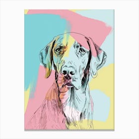 Chesapeake Bay Retriever Dog Pastel Line Watercolour Illustration 4 Canvas Print