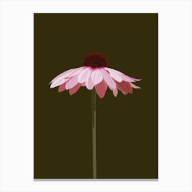 Pink Flower Canvas Print