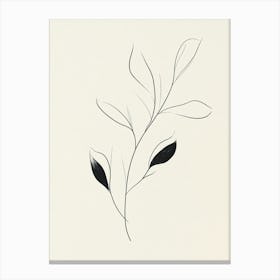 Leaf blank Canvas Print