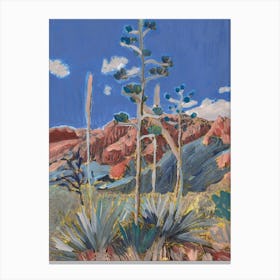 Big Bend Flora Canvas Print