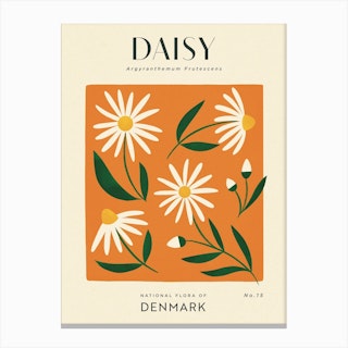 Vintage Orange And White Daisy Flower Of Denmark Canvas Print