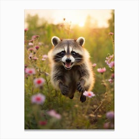 Cute Funny Honduran Raccoon Running On A Field Wild 3 Canvas Print