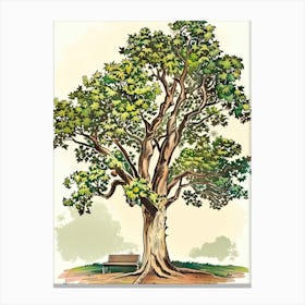 Chestnut Tree Storybook Illustration 2 Canvas Print