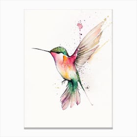 Calliope Hummingbird Minimalist Watercolour 4 Canvas Print