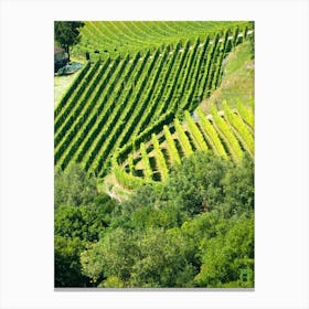 Vineyards In Andorra 20210826 229ppub Canvas Print