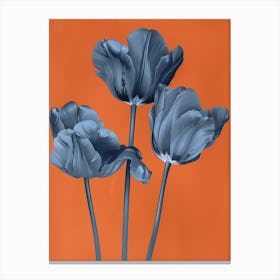 Blue Tulips 3 Canvas Print