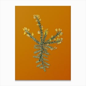 Vintage Yellow Gorse Flower Botanical on Sunset Orange n.0406 Canvas Print