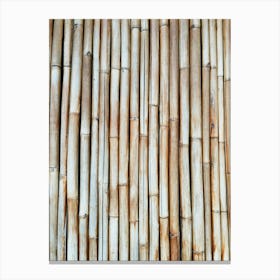 Bamboo Wall Canvas Print