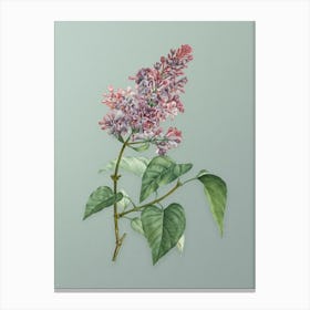 Vintage Common Pink Lilac Plant Botanical Art on Mint Green n.0016 Canvas Print