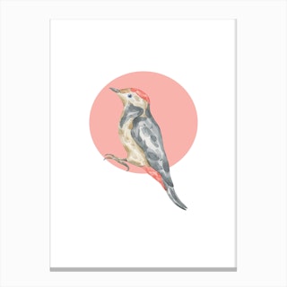 Watercolour Bird with Bird Canvas Print