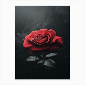 Red Rose 11 Canvas Print