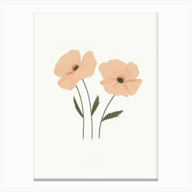 Two Pink Poppies Canvas Print