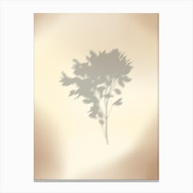 Shadow Of A Tree Canvas Print