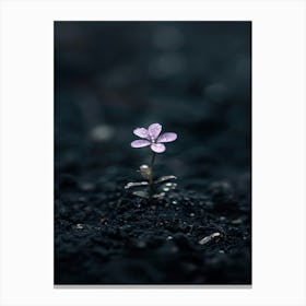 Small Purple Flower Canvas Print