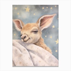 Sleeping Baby Kangaroo Canvas Print