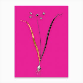 Vintage Allium Scorzonera Folium Black and White Gold Leaf Floral Art on Hot Pink n.0454 Canvas Print