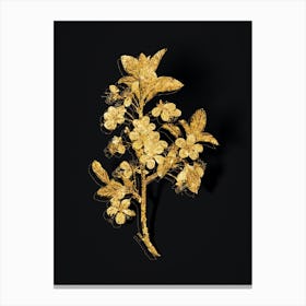 Vintage White Plum Flower Botanical in Gold on Black Canvas Print