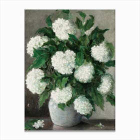 Still Life White Hydrangeas In A Vase Canvas Print