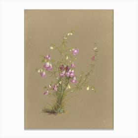 Bouquet Of Flowers Canvas Print